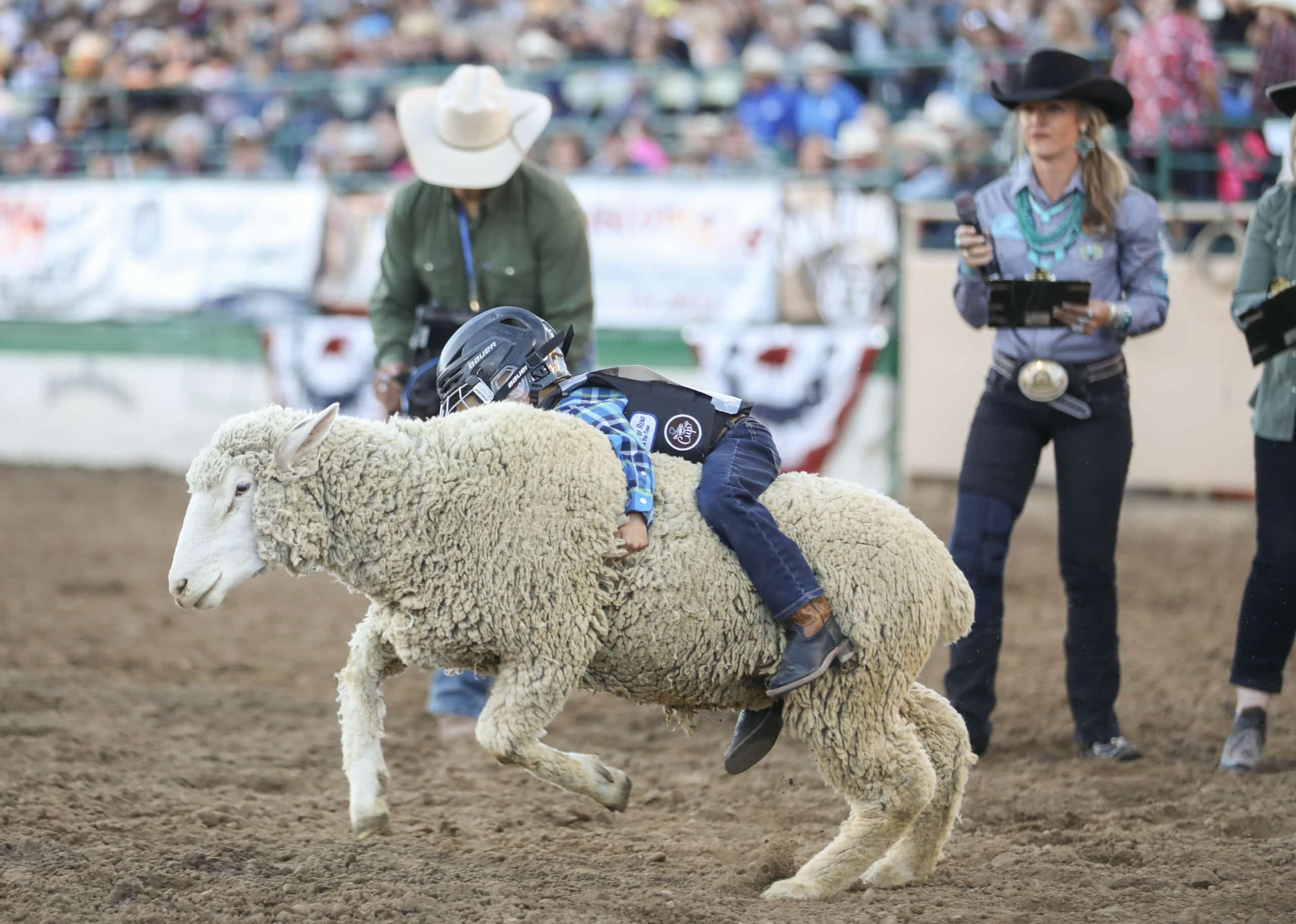 Tips for a new Westerner – Sierra Nevada Ally