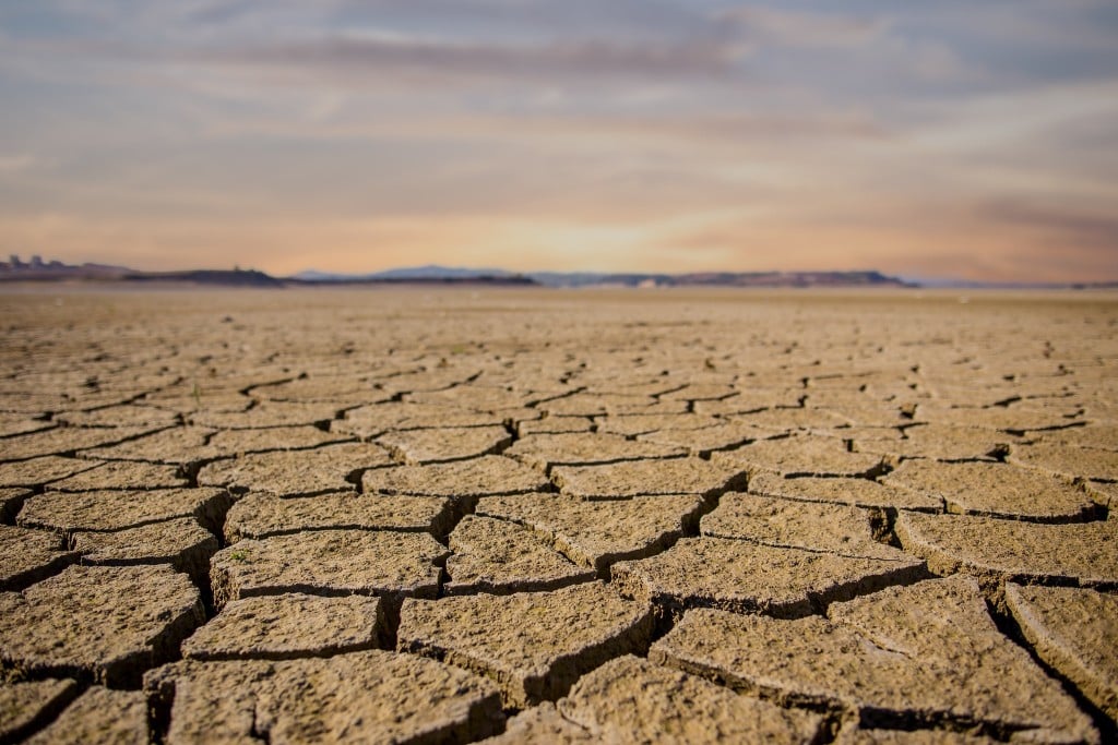 A landscape photo, close up on a dry, cracked bed of dirt.