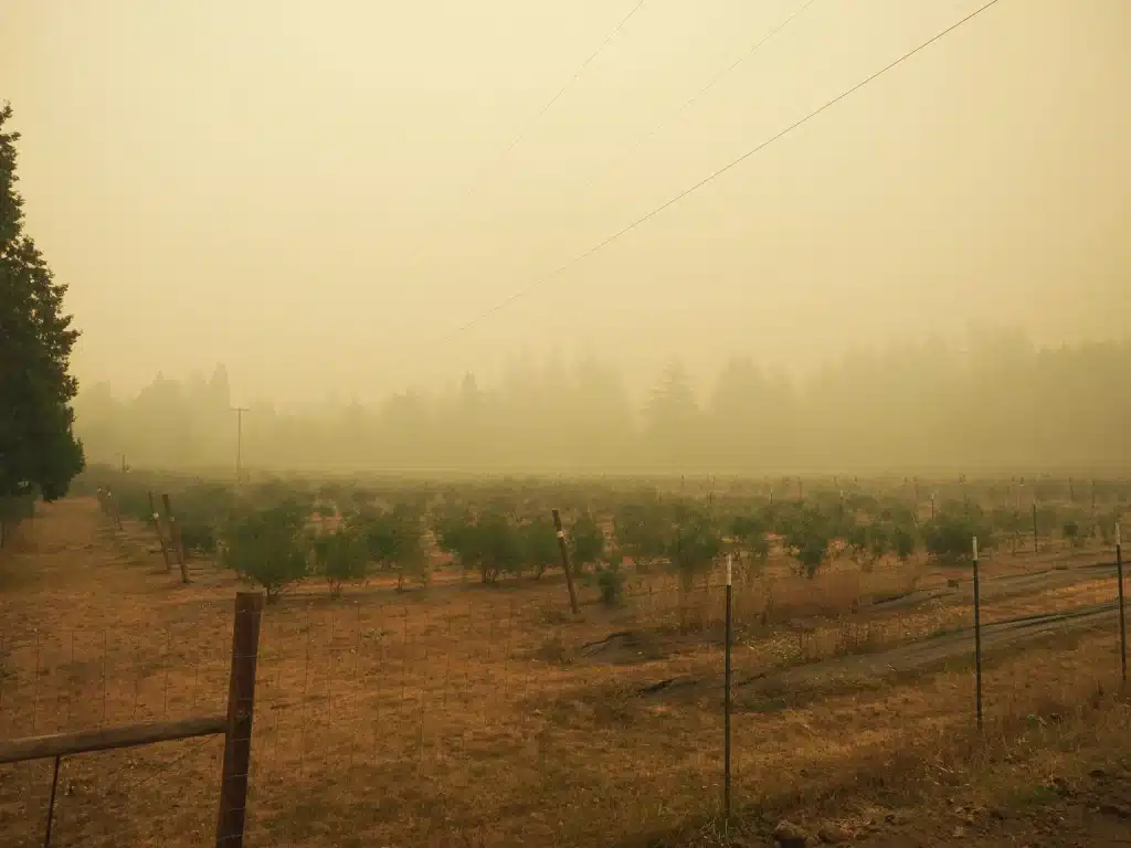 A photo of heavy wildfire smoke near a farm in Oregon, appearing like a very foggy day.